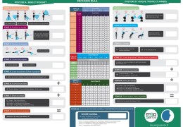 Comprendre le RULA: Améliorez vos évaluations ergonomiques avec LEA